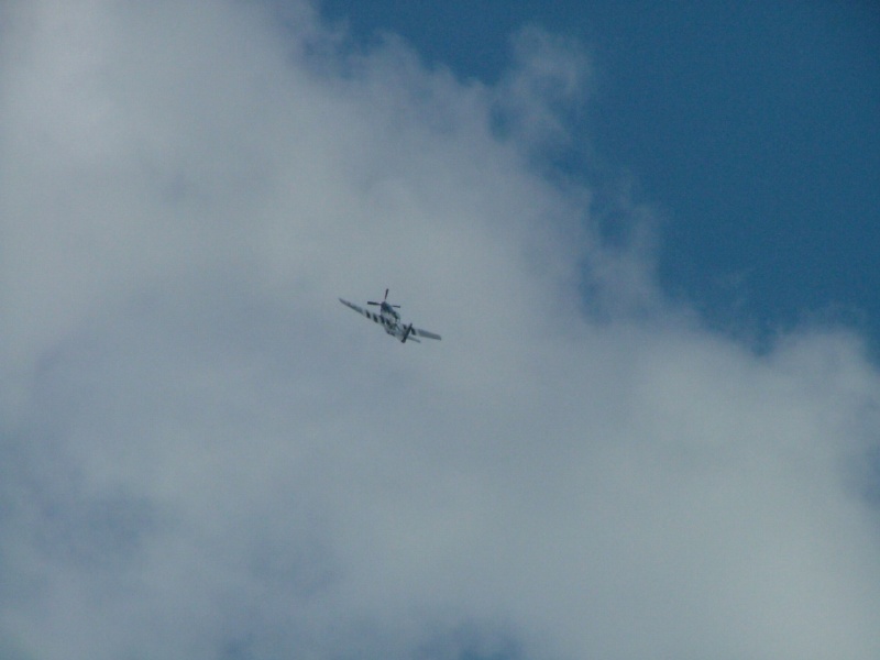 P-51 Mustang